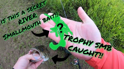 chatterbait live|Hocking River FISH OHIO SMB 